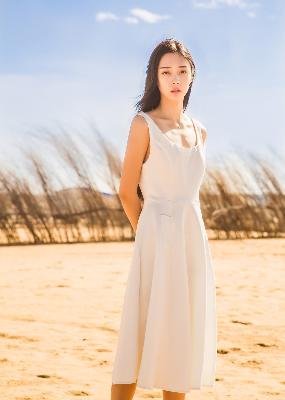 成全历史视频观看高清免费版